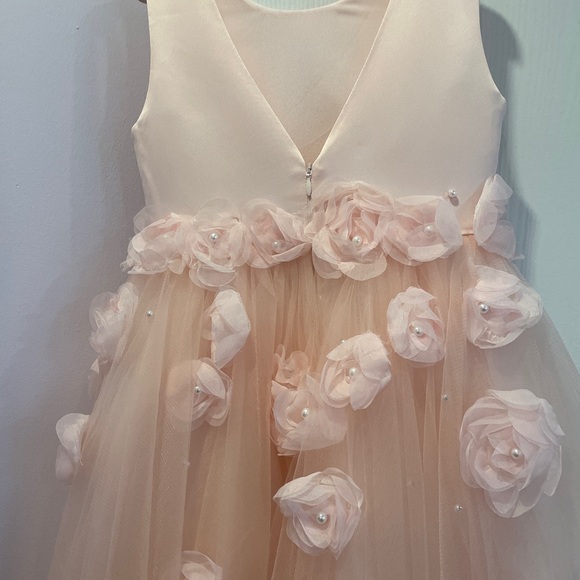 Princess Daliana Girls Size 6 Pink Rose Bud Dress - Picture 5 of 7